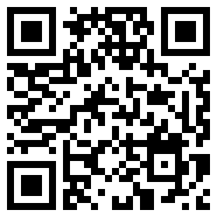 扫码下载双枪侠盗高级版