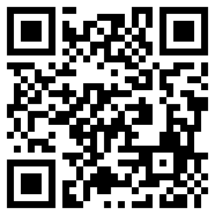 扫码下载少年骇客10